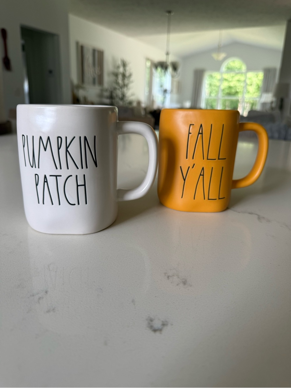 Rae Dunn White & Orange Fall Mugs - 'Pumpkin Patch' & 'Fall Y'All'